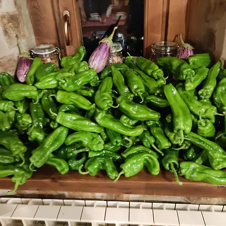 Mirador De Picos Séjour à la campagne Aliezo