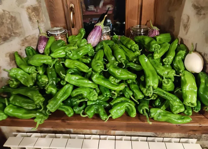 Mirador De Picos 乡村民宿 Aliezo